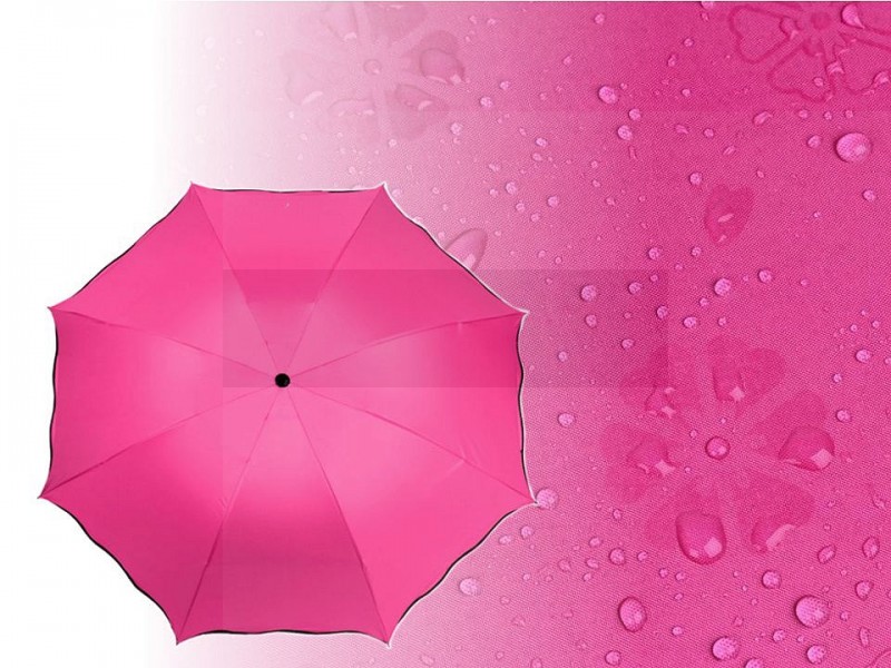              Női összecsukható esernyő Női esernyő,esőkabát