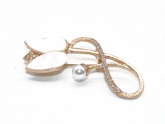                                              Arany bross tulipán 